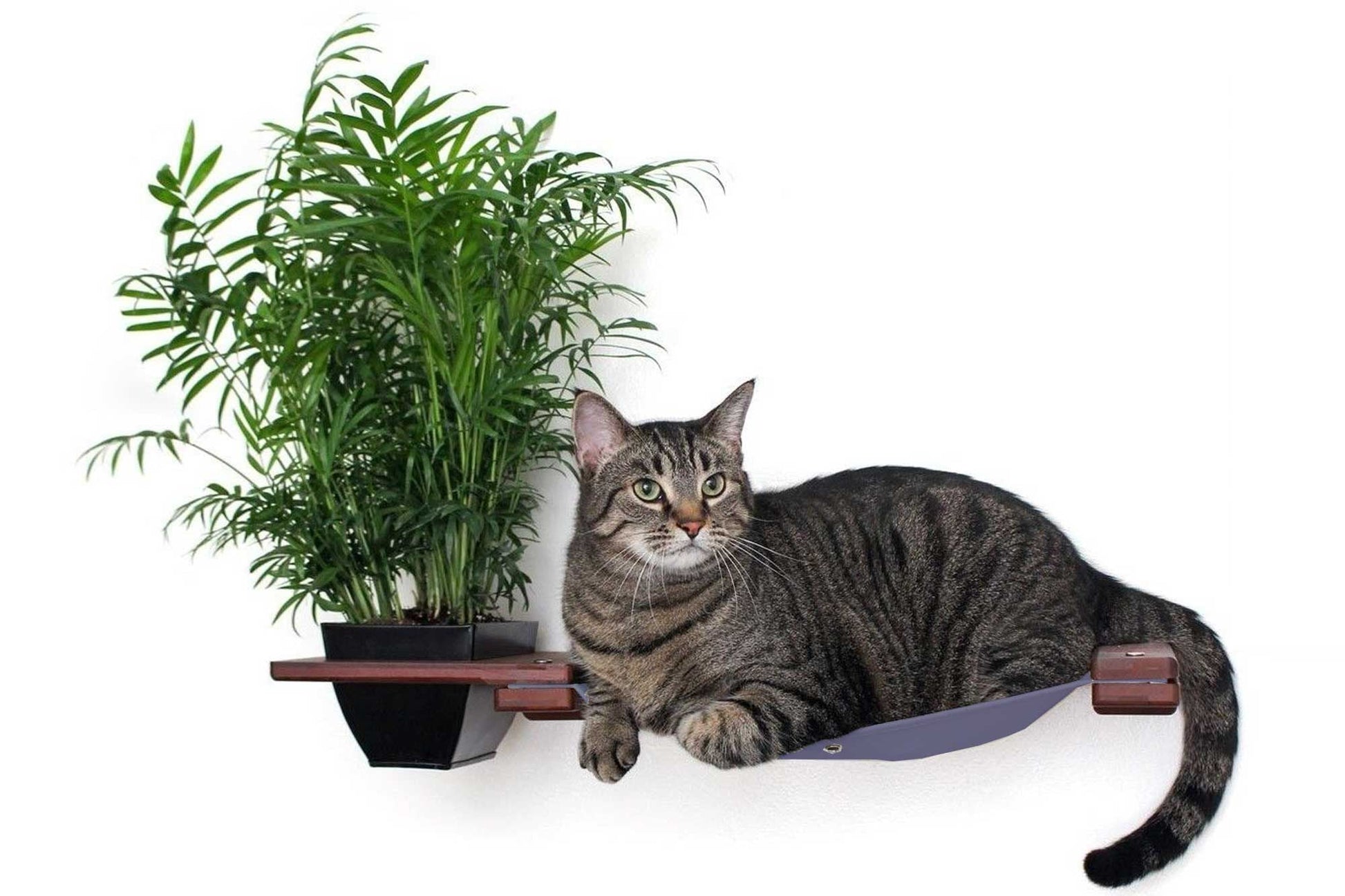 Cat Hammock Wall with Planter English Chestnut Bamboo Charcoal Gray Canvas 16" Cat Hammock Catastrophic Creations