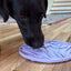 Tulip Design eMat - Enrichment Lick Mat For Dogs and Cats - With Suction Cups | USA Made EMAT SodaPup/True Dogs, LLC