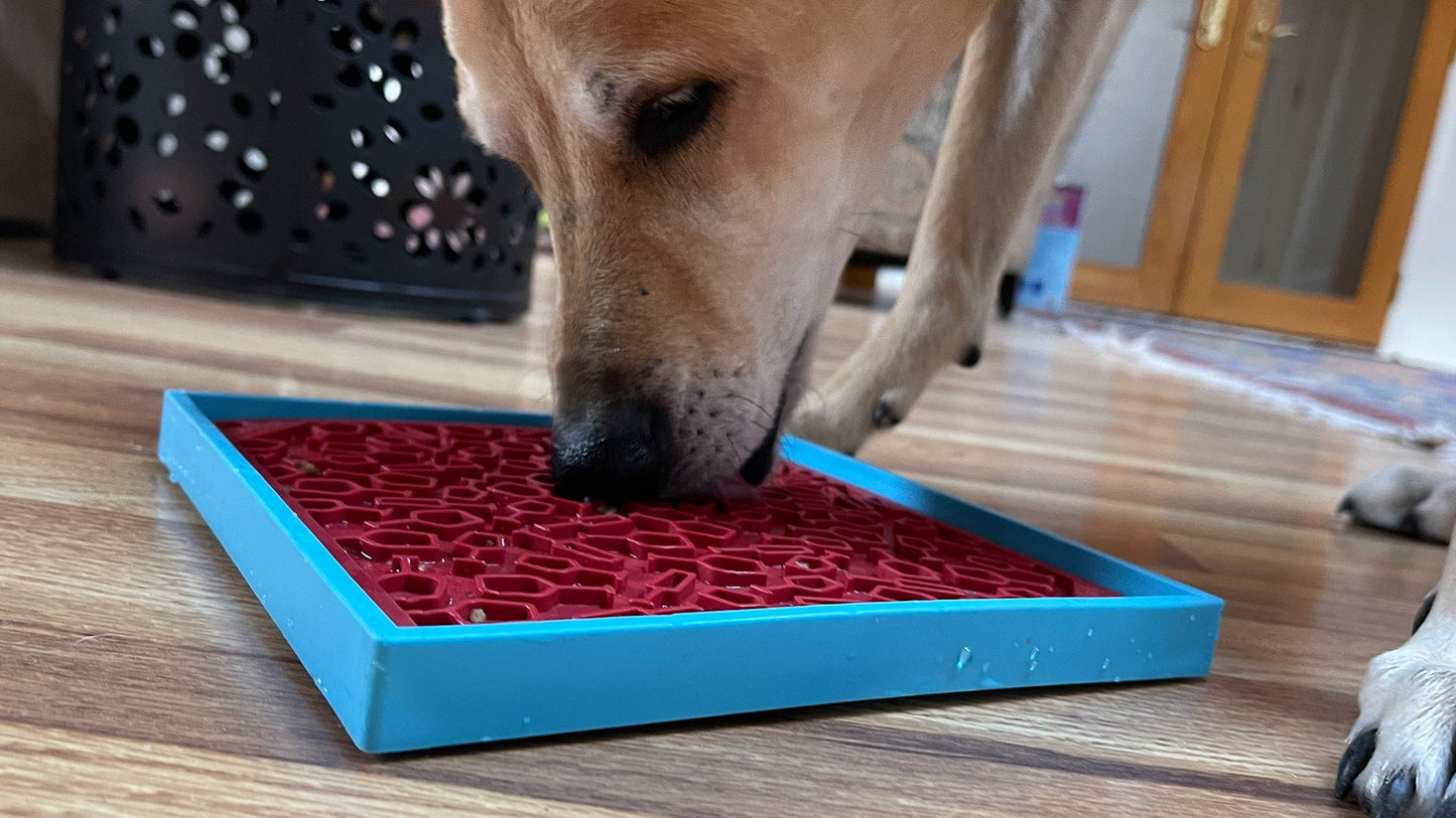 Vino Dog eMat - Enrichment Lick Mat For Dogs and Cats | Wine-Inspired Design| SodaPup EMAT SodaPup/True Dogs, LLC