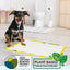 Pee Pads for Dogs Pee Pads Pet N Pet ®