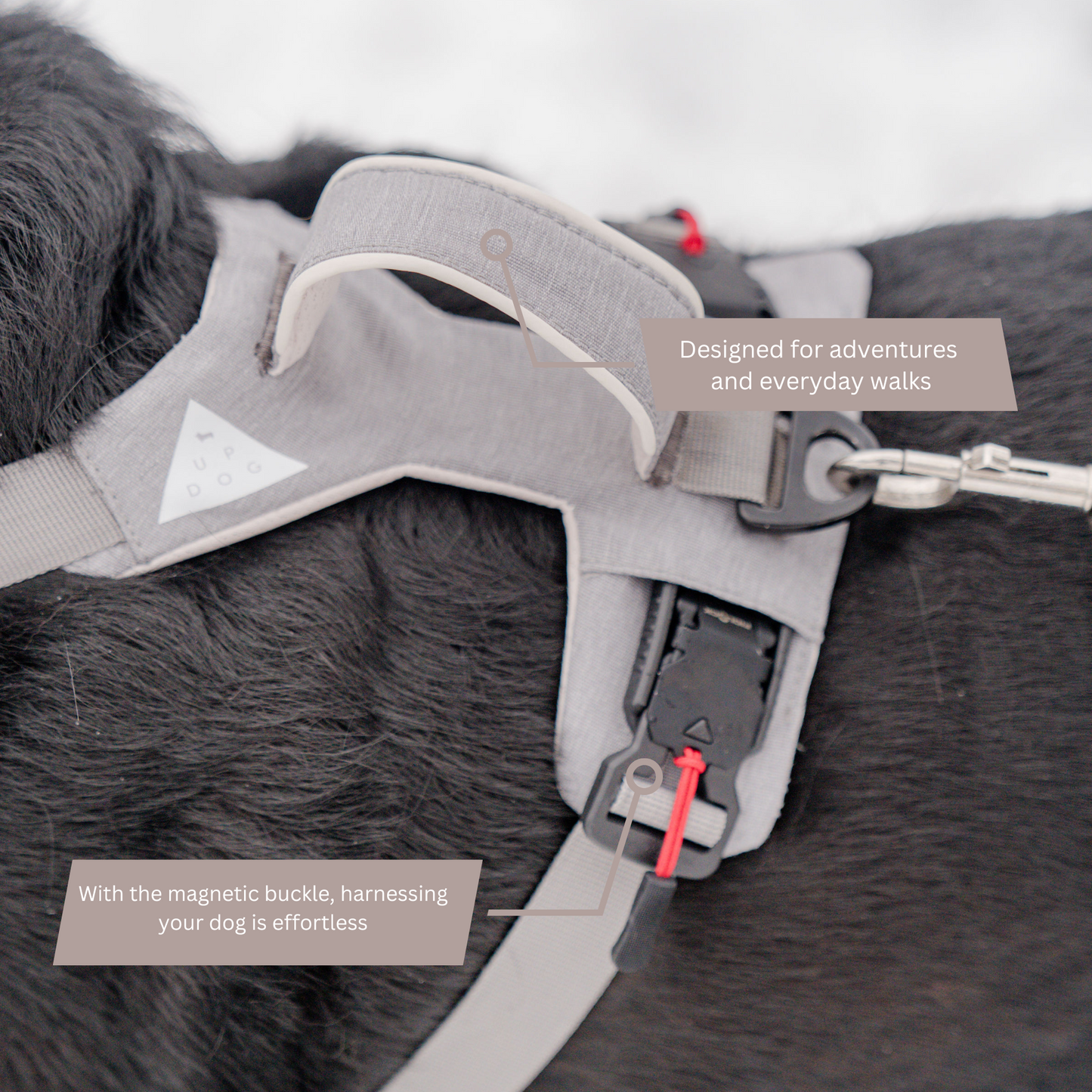 Magnetic Dog Harness with Handle - Easy On, No-Pull Design Pet Harness Up Dog Shop