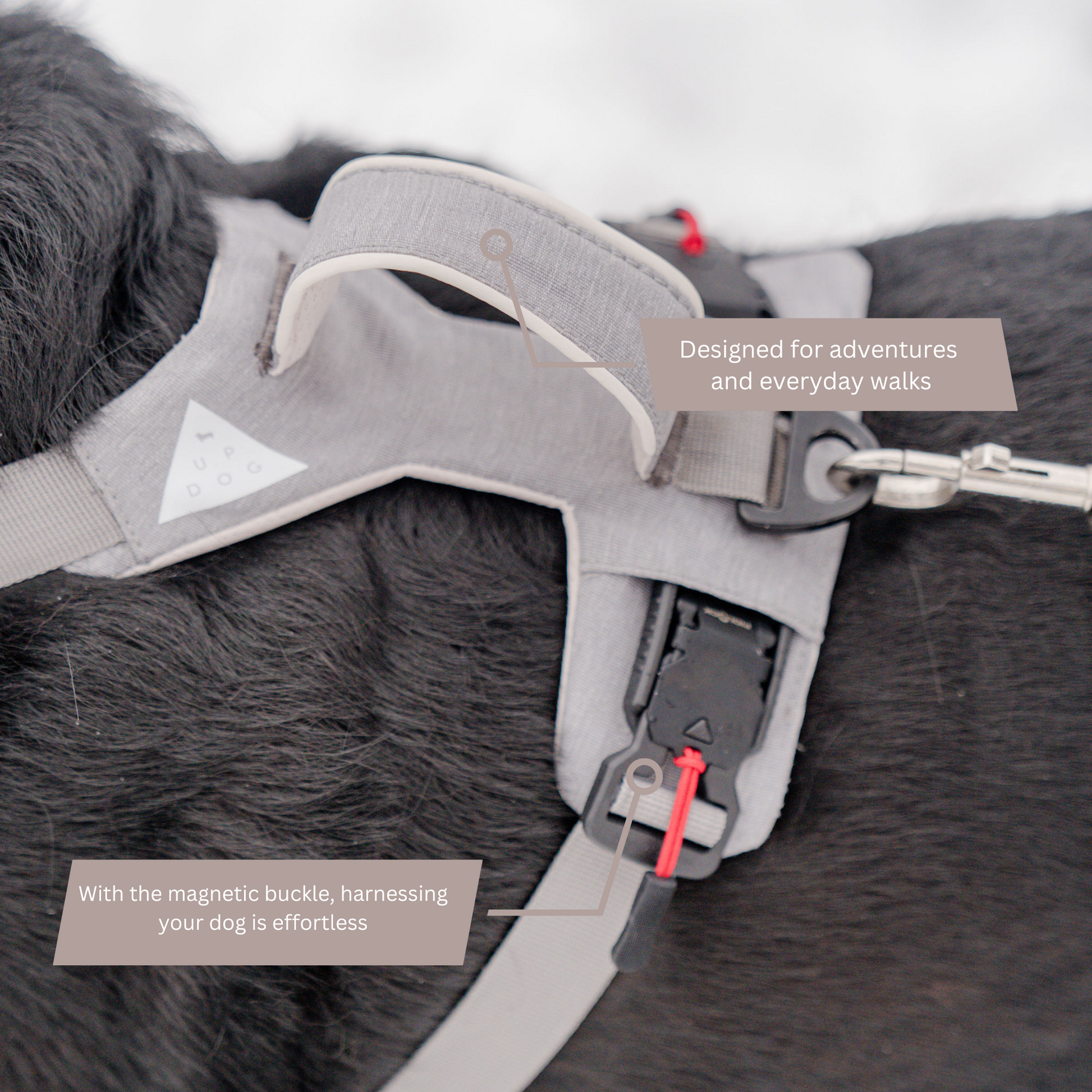 Magnetic Dog Harness with Handle - Easy On, No-Pull Design Pet Harness Up Dog Shop