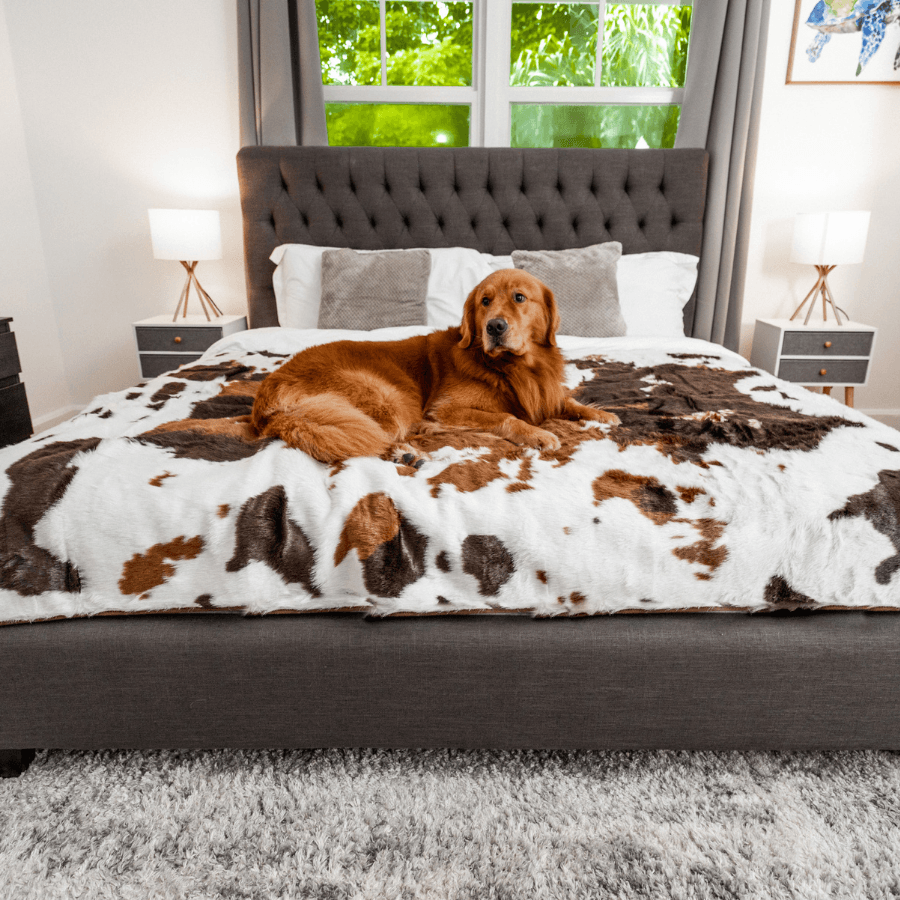 PupProtector™ Waterproof Throw Blanket - Brown Faux Cowhide Large (80"L x 62"W) Dog Blanket Paw.com