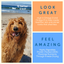 A Better Dog Food Salmon - Raw You Can See A Better Treat