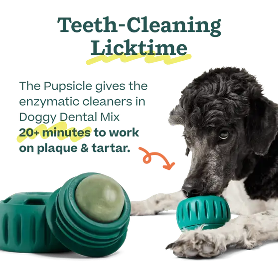 Pupsicle Mix- Doggy Dental Woof
