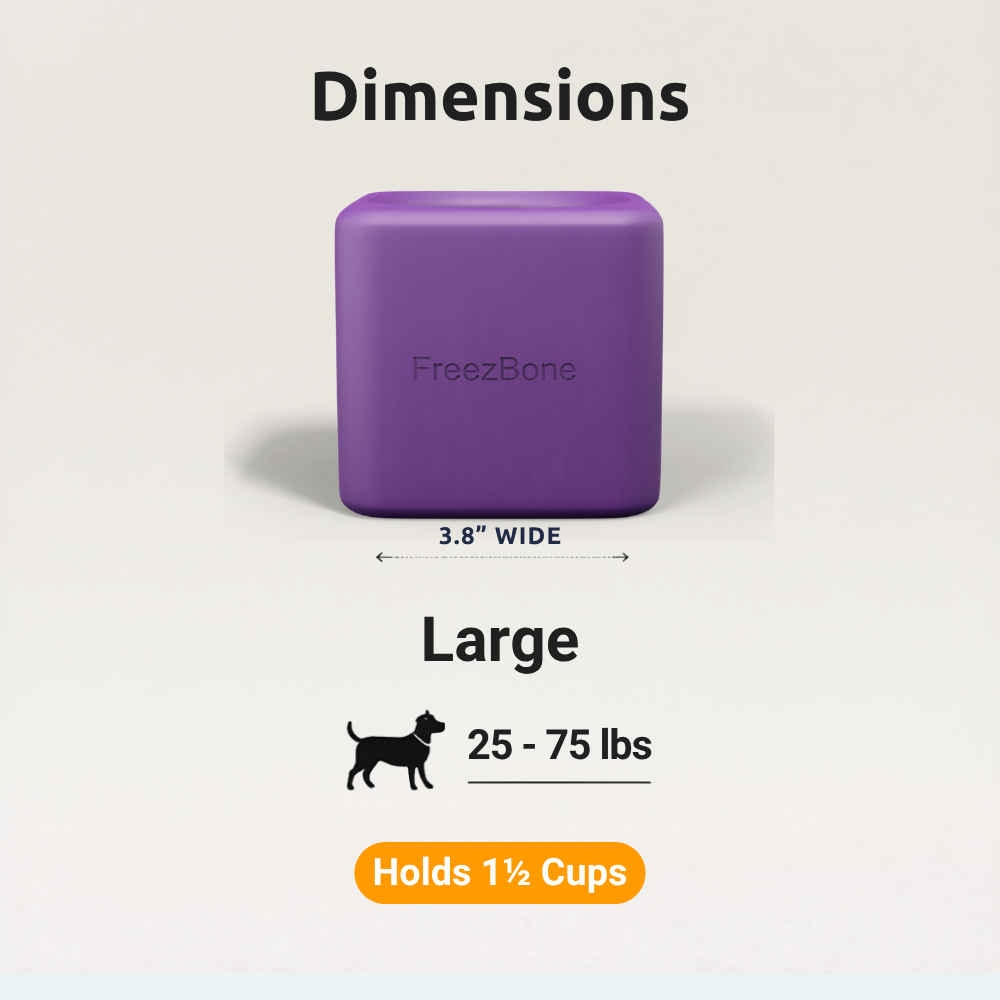 Freezbox - Super Tough Treat Toy Freezbone
