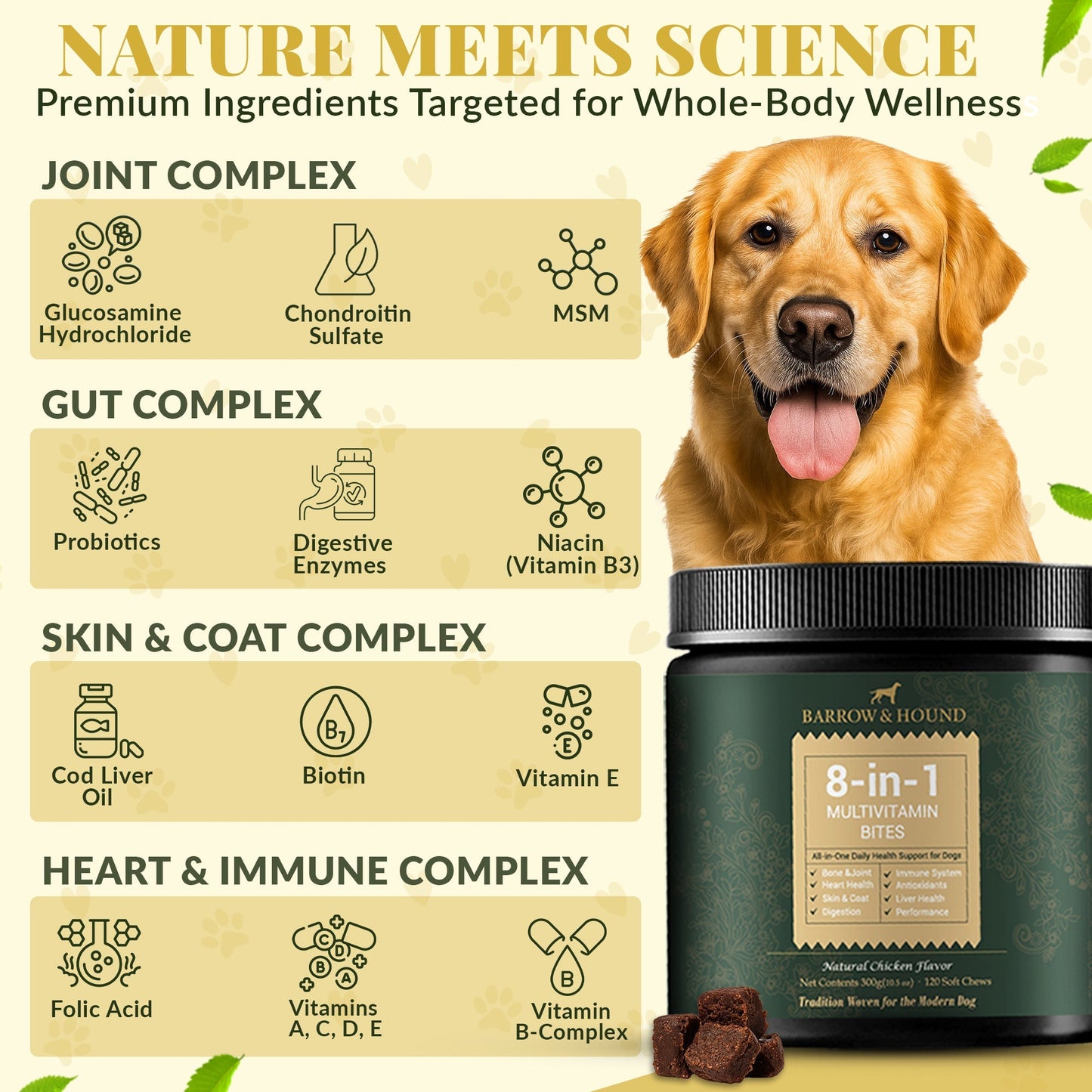 8-in-1 Daily Multivitamin Bites for Dogs – All-in-One Health Support, 120 Soft Chews Supplements Barrow & Hound
