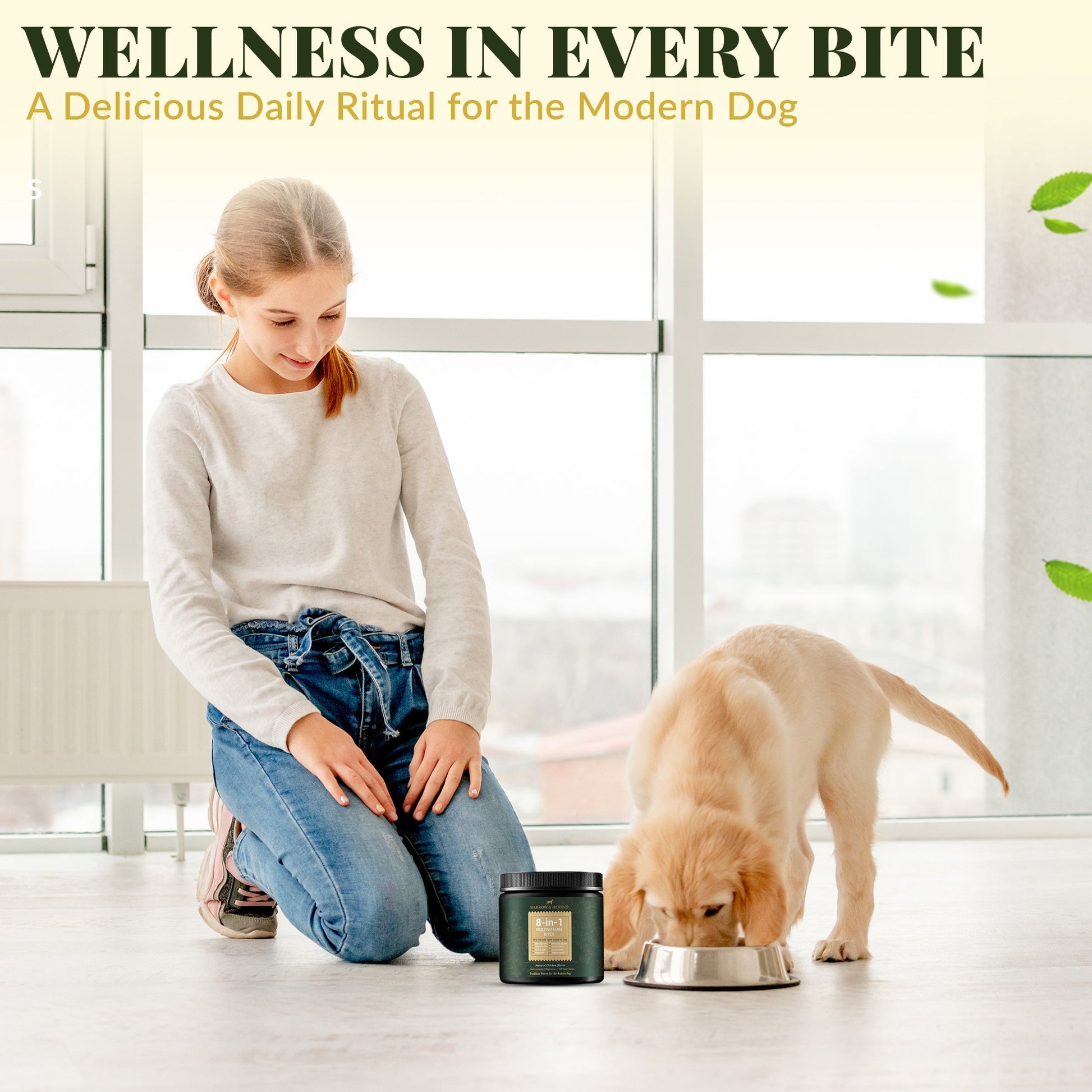 8-in-1 Daily Multivitamin Bites for Dogs – All-in-One Health Support, 120 Soft Chews Supplements Barrow & Hound