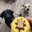 Gear eDispenser - Durable Rubber Yak Chew Holder & Treat Pocket | USA Made Rubber Dog Toys SodaPup/True Dogs, LLC