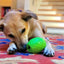 Dinosaur Egg Dog Chew Toy & Treat Dispenser - USA Made | SodaPup Rubber Dog Toys SodaPup/True Dogs, LLC
