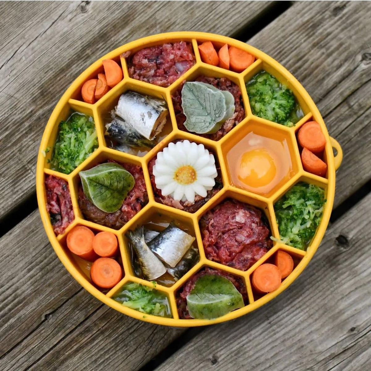Honeycomb eBowl Deep Slow Feeder Dog Bowl for Enrichment | USA Made EBOWL SodaPup/True Dogs, LLC