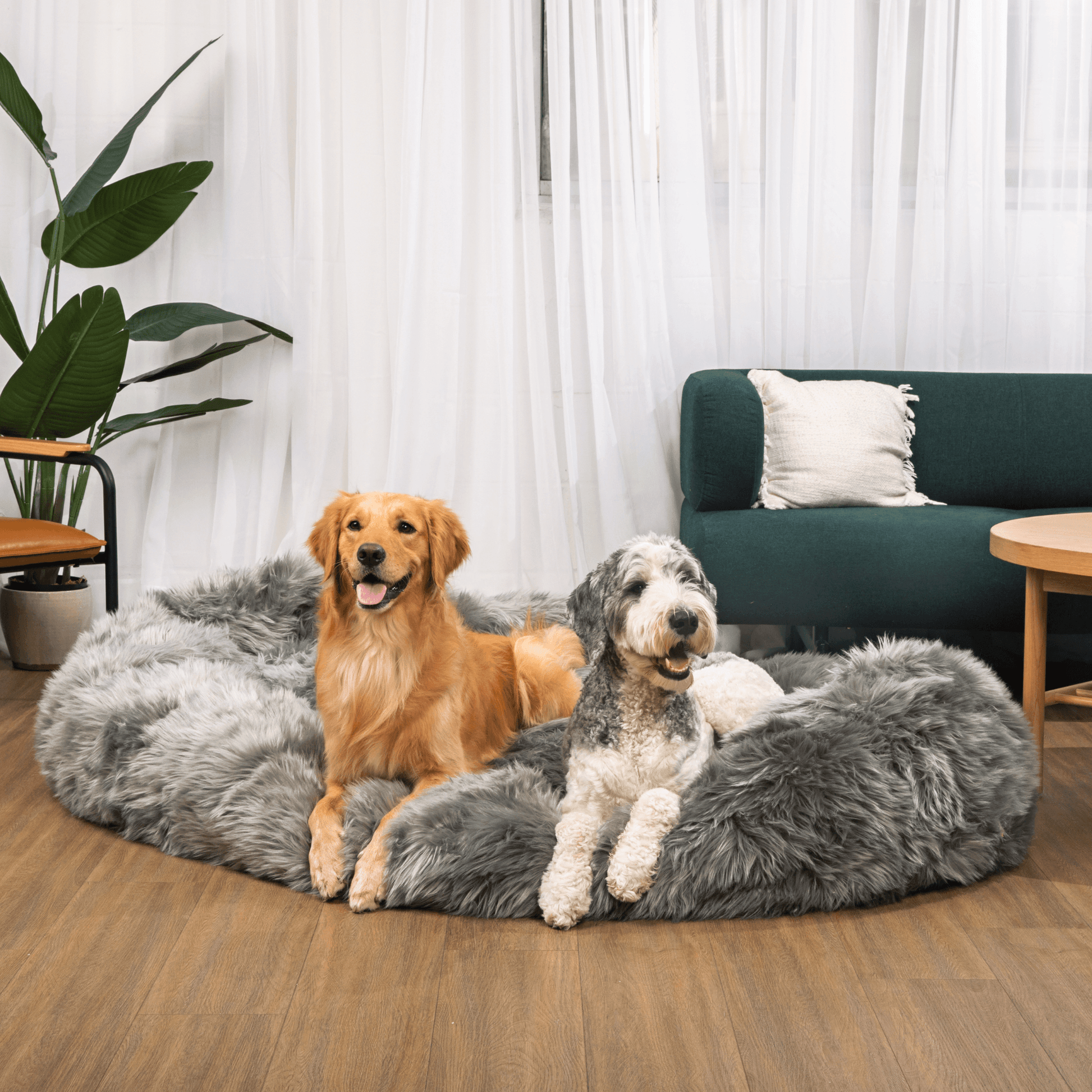 PupCloud™ Human-Size Faux Fur Memory Foam Dog Bed - Charcoal Grey Paw