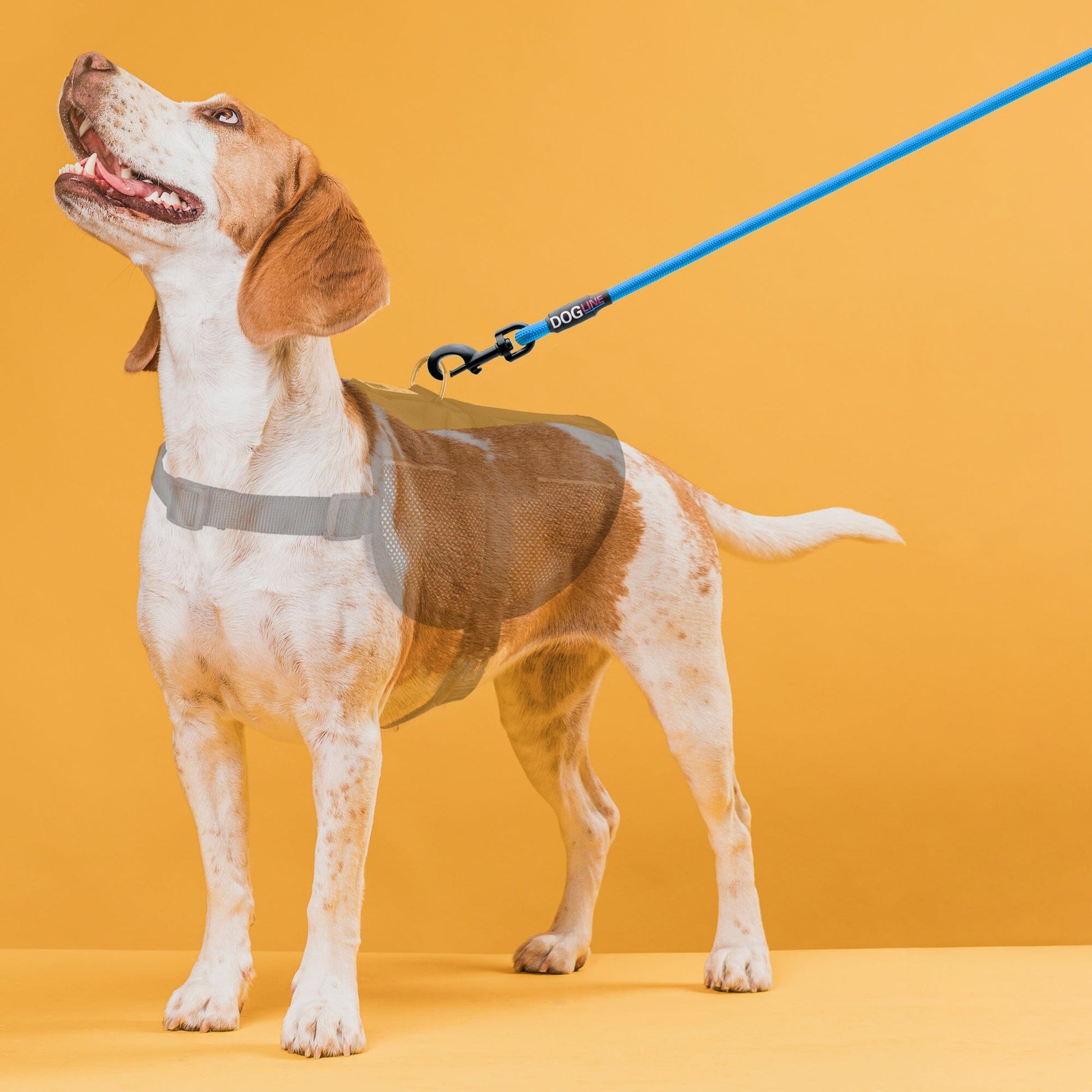 Nylon Round Dog Lead Dog Leashes Dogline
