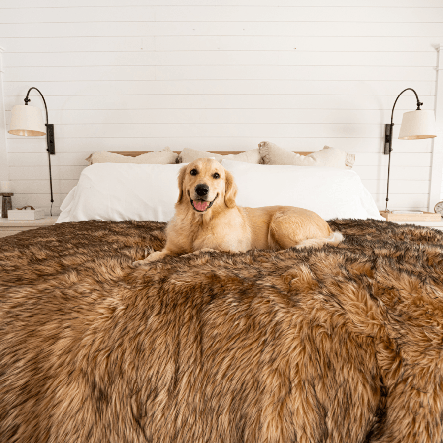 PupProtector™ Waterproof Throw Blanket - Sable Tan Dog Blanket Paw