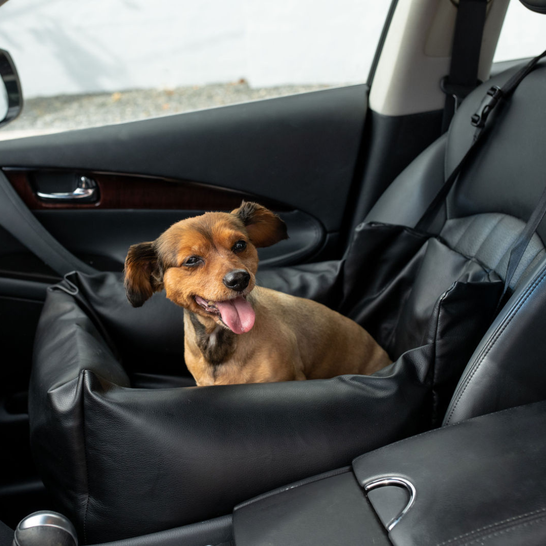 PupProtector™ Faux Cool-to-Touch Vegan Leather Memory Foam Dog Car Bed - Black Travel Paw.com