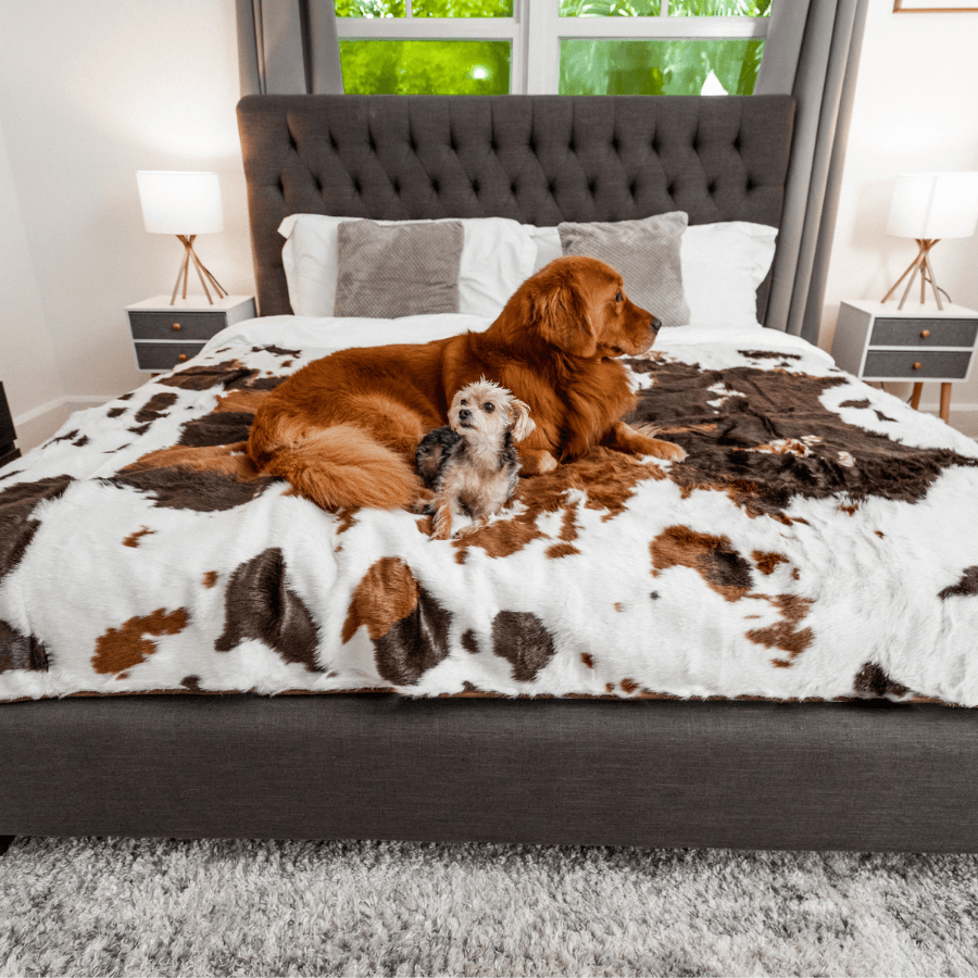 PupProtector™ Waterproof Throw Blanket - Brown Faux Cowhide Dog Blanket Paw.com
