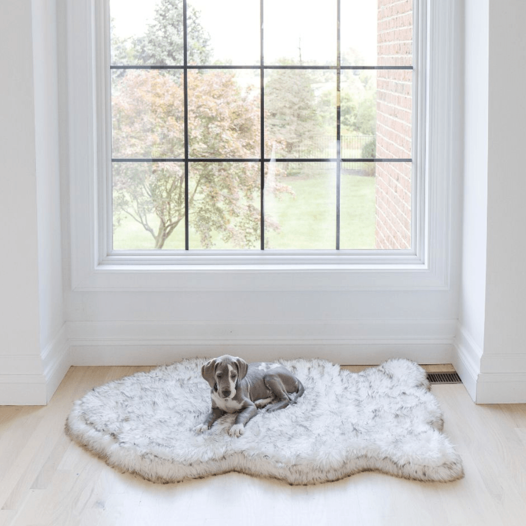 PupRug by Paw.com® Faux Fur Orthopedic Dog Bed - Curve White with Brown Accents Giant (60" L x 35" W) Dog Beds Paw.com