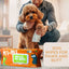 Dog Wipes Cleaning & Deodorizing 100 Count Pet Wipes Pet N Pet ®