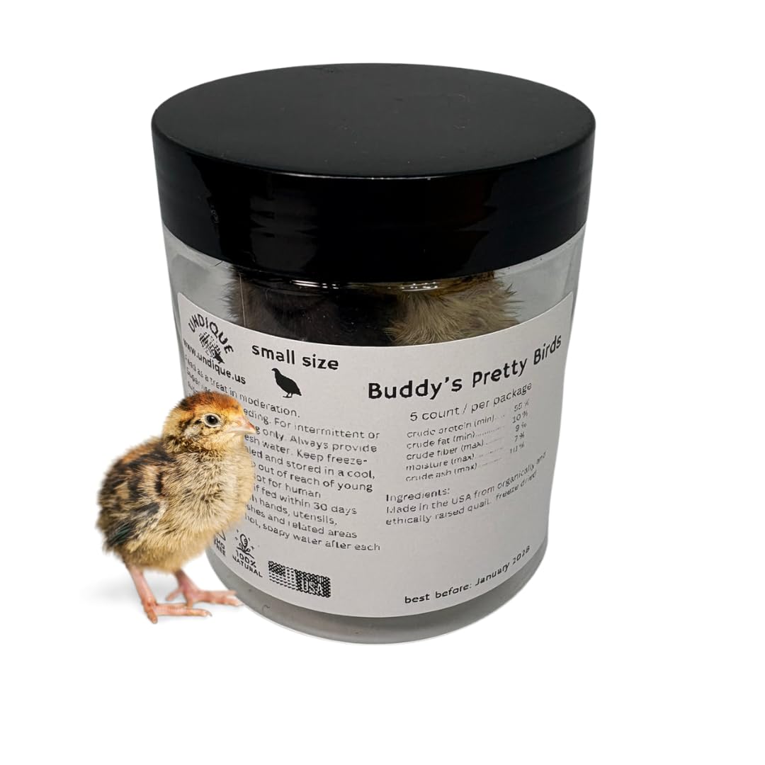 Whole Quail for Carnivore Pets - Premium Quality Natural Pet Treats Quail - Natural Prey Feeding Quail - Freeze-Dried for Essential Nutrients and Enzymes Small Size 5 Count Default Title Quailz.com by Undique LLC