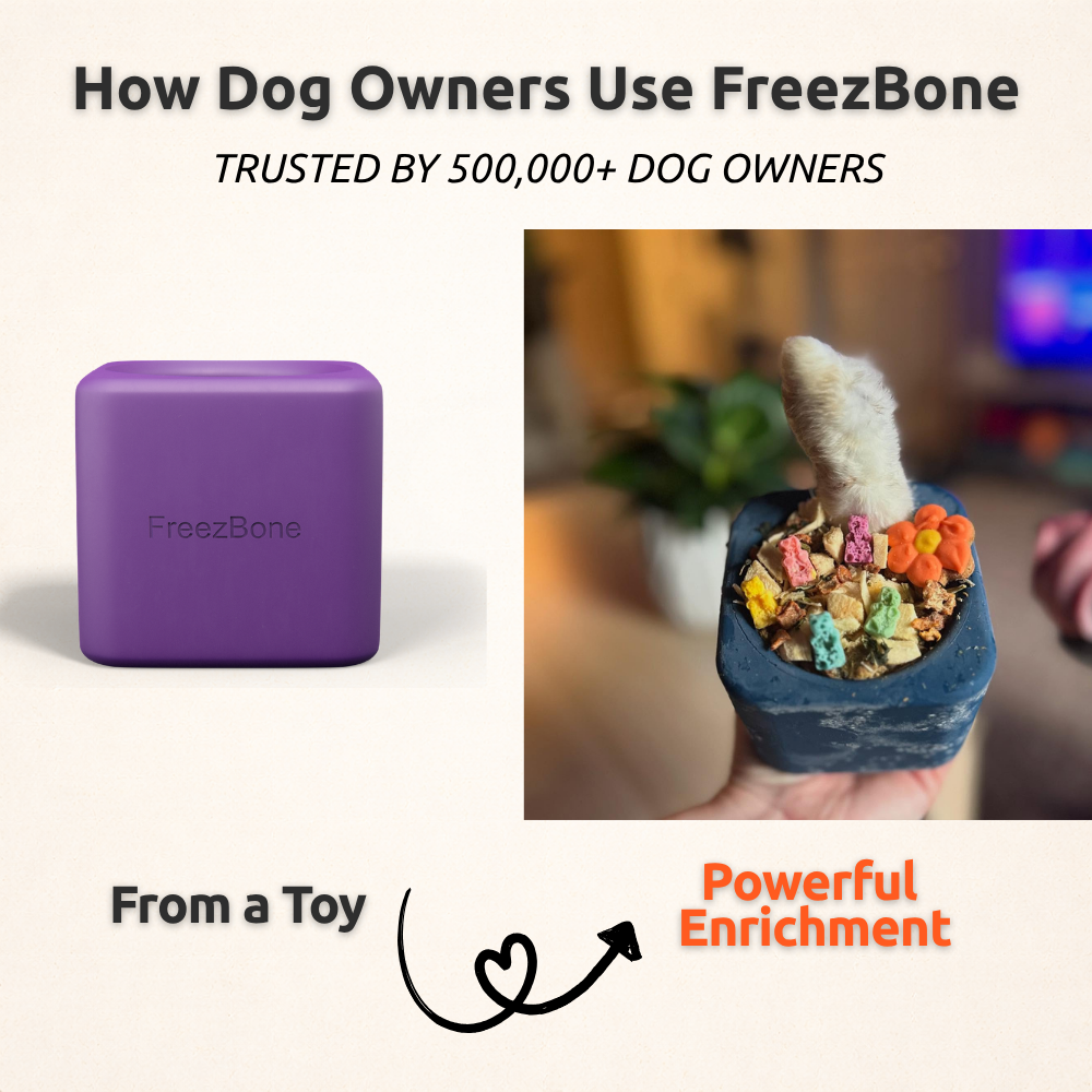 Freezbox - Super Tough Treat Toy Freezbone