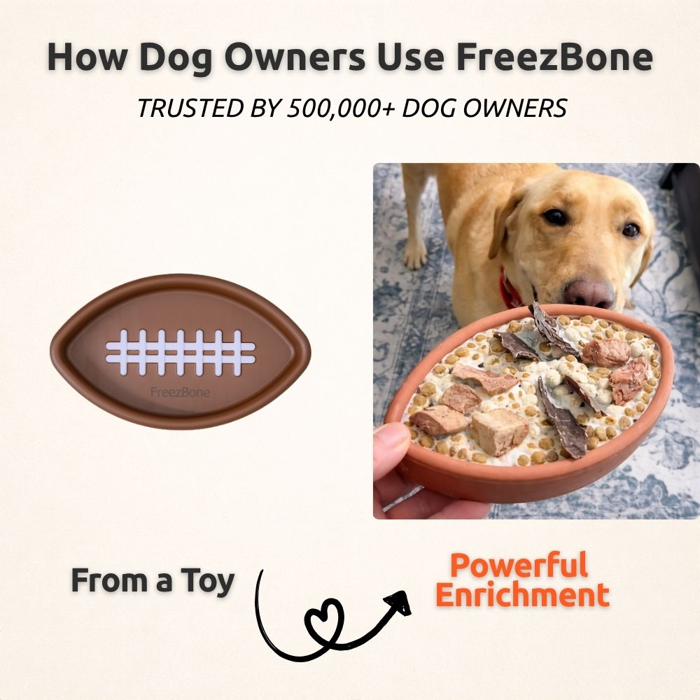 FreezFootball - Tough Enrichment Football Toy Freezbone