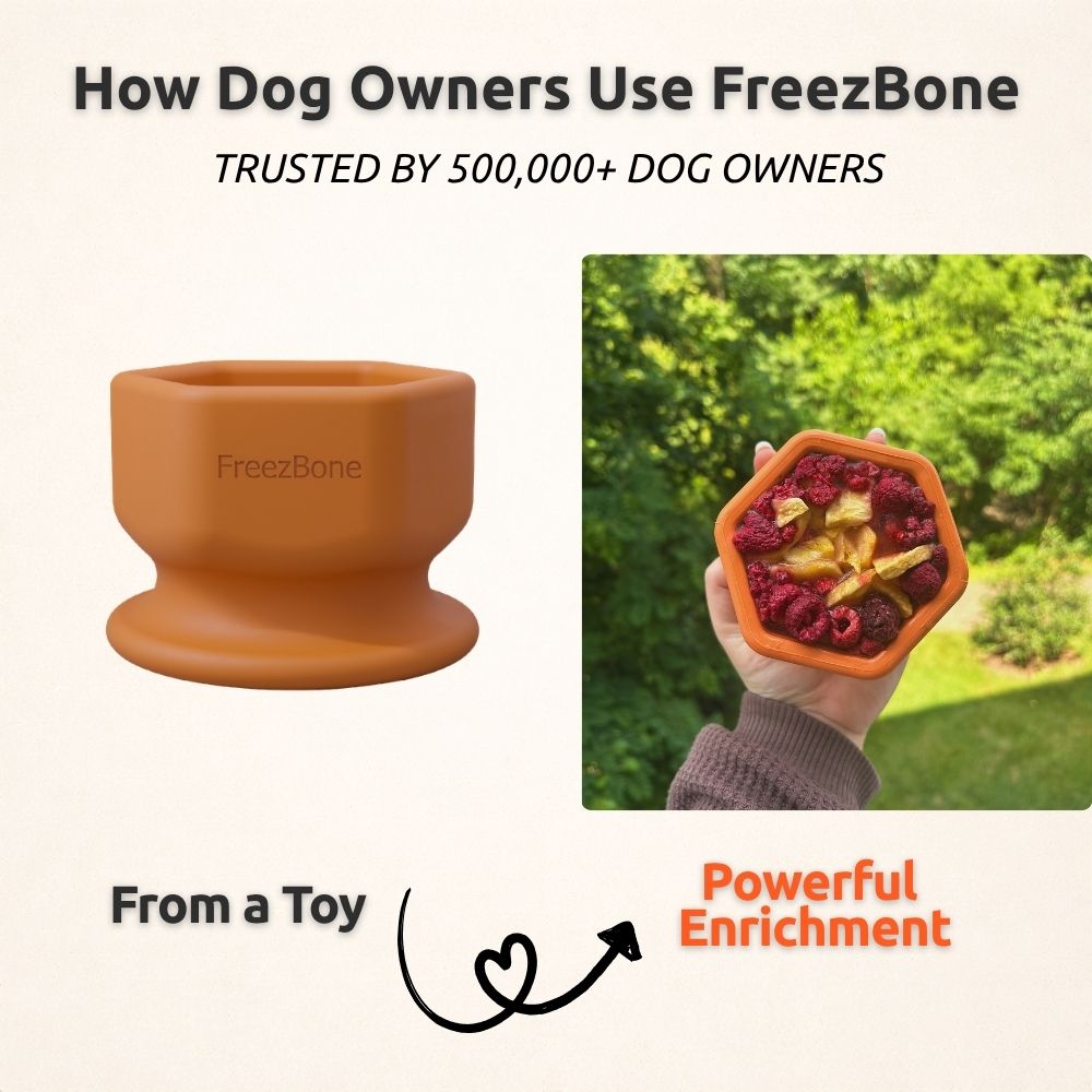 FreezCup - Long-Lasting Chew Fun Freezbone