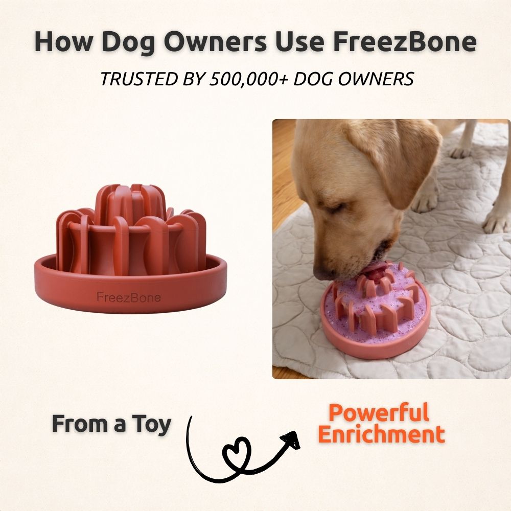 FreezLava Heavy-Duty Enrichment Chew Freezbone
