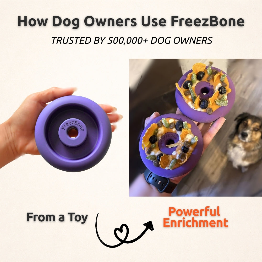 Freez Doughnut - Super Durable Treat Toy Freezbone