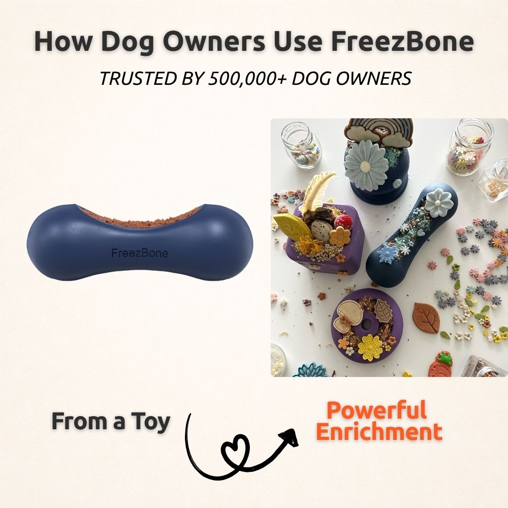 Freezstick - Indestructible Enrichment Chew Freezbone