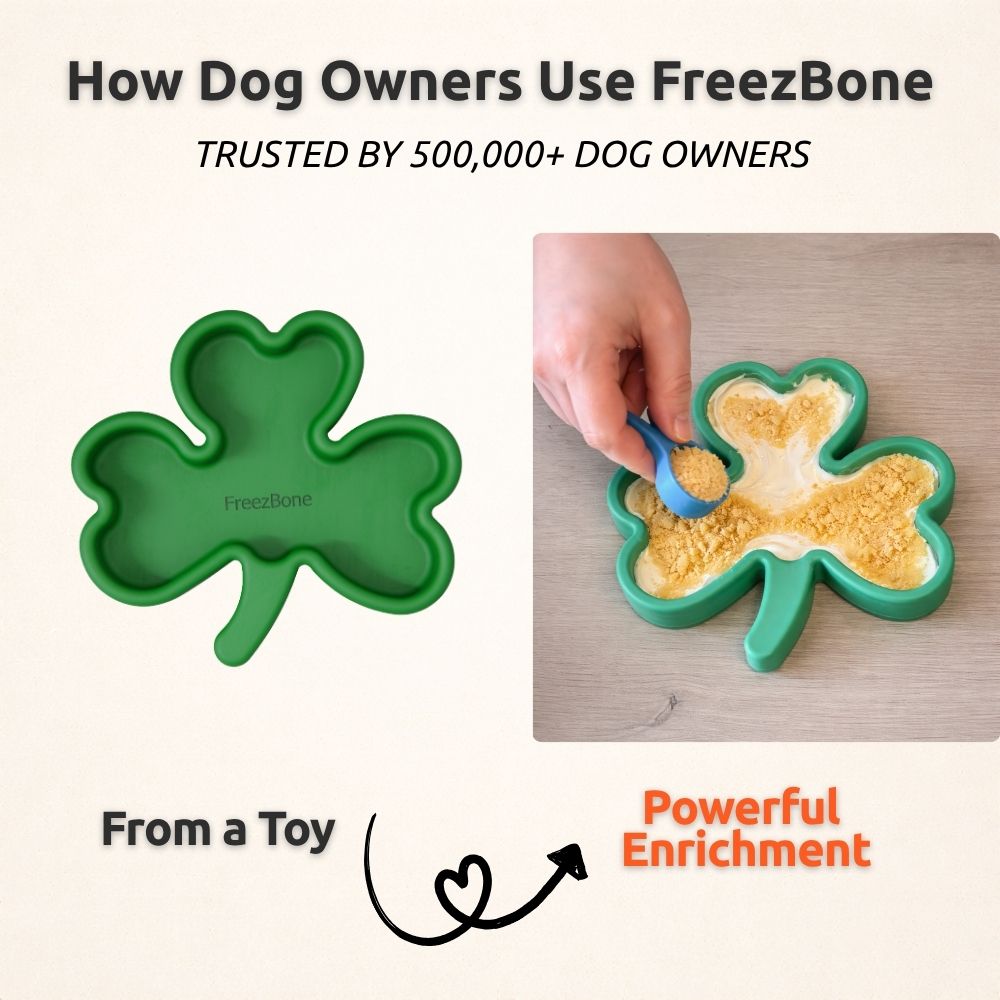 FreezShamrock - Premium Enrichment Toy Freezbone