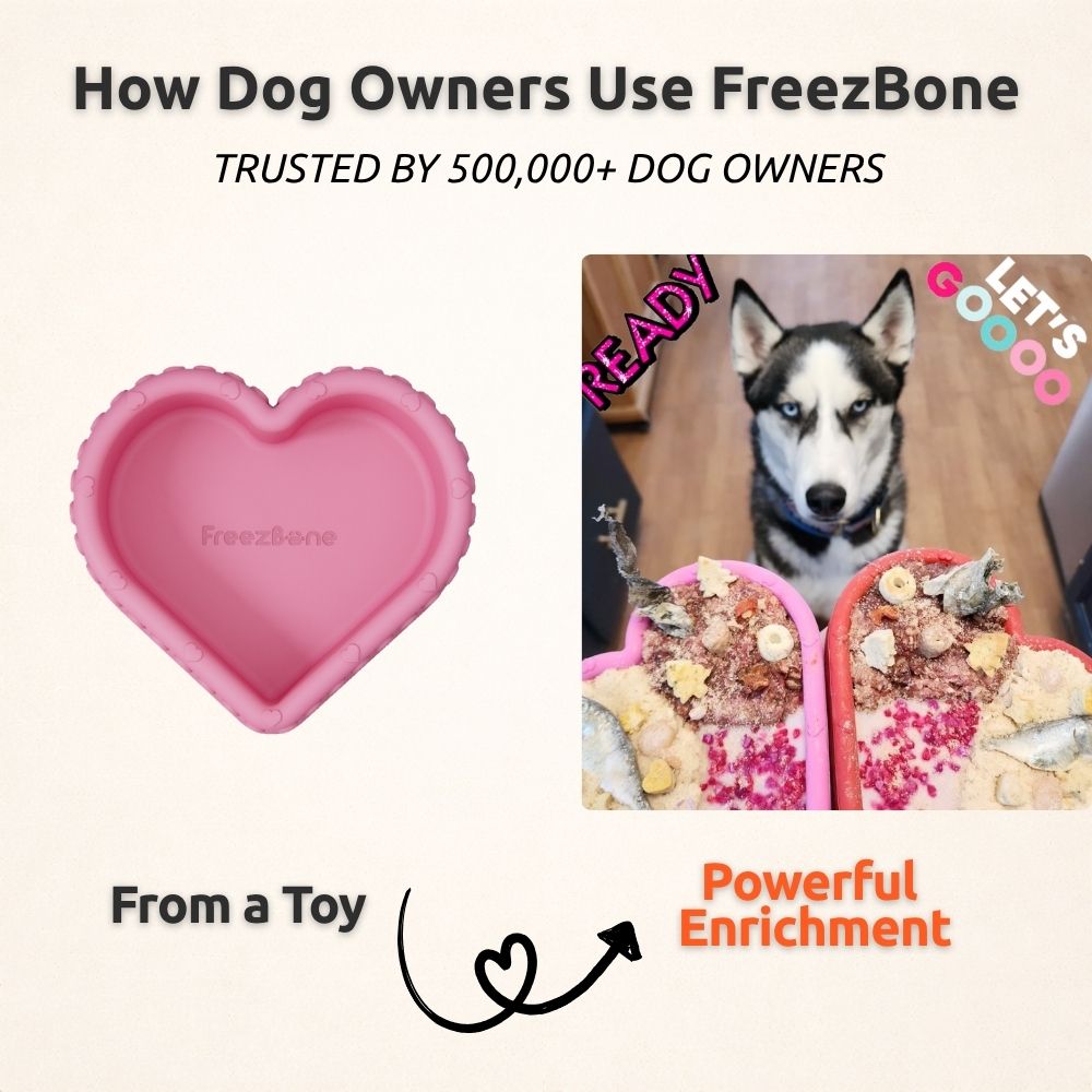 FreezHeart - Durable Heart Enrichment Chew Freezbone