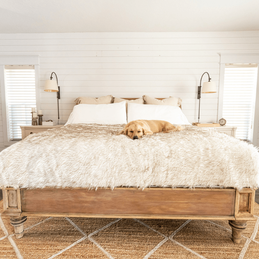 PupProtector™ Waterproof Throw Blanket - White with Brown Accents Dog Blanket Paw.com