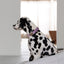 'Lilac' - Velvet Dog Collar Velvet Collar FURLOU