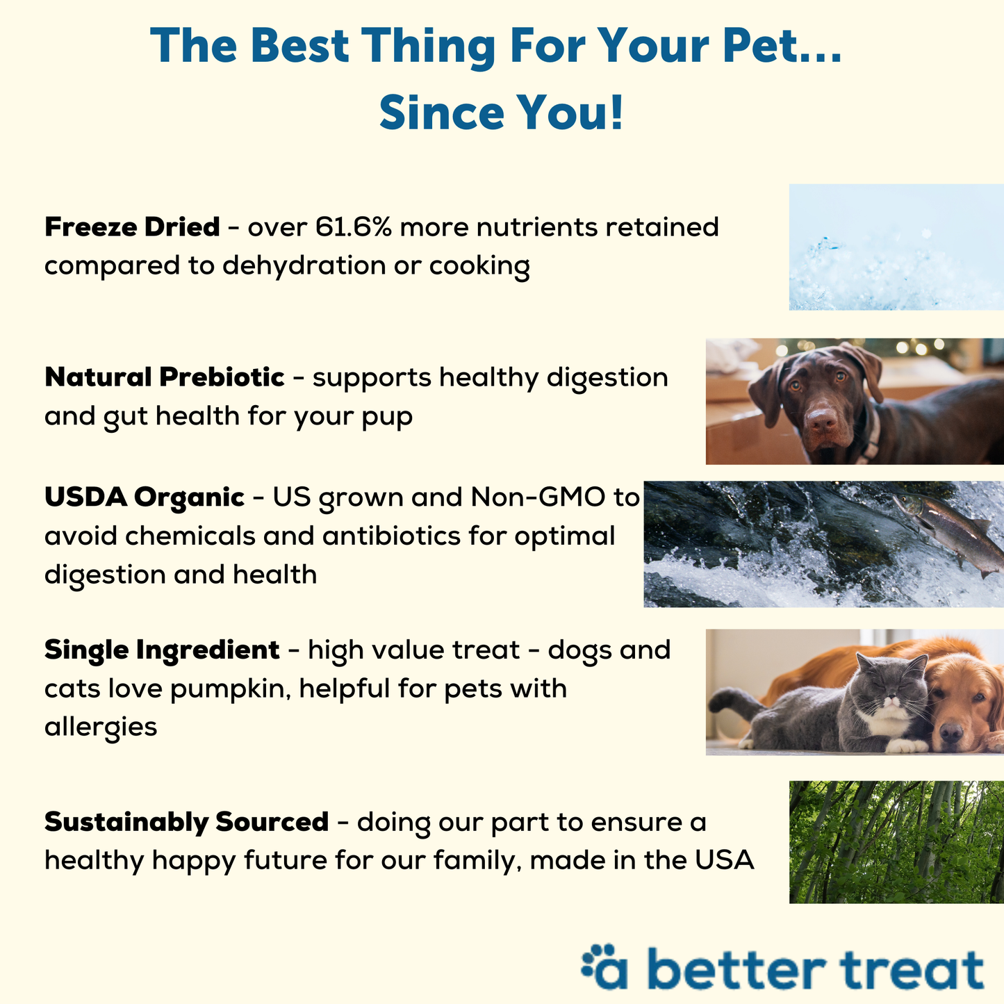 Organic Freeze Dried Pumpkin Dog and Cat Treats A Better Treat