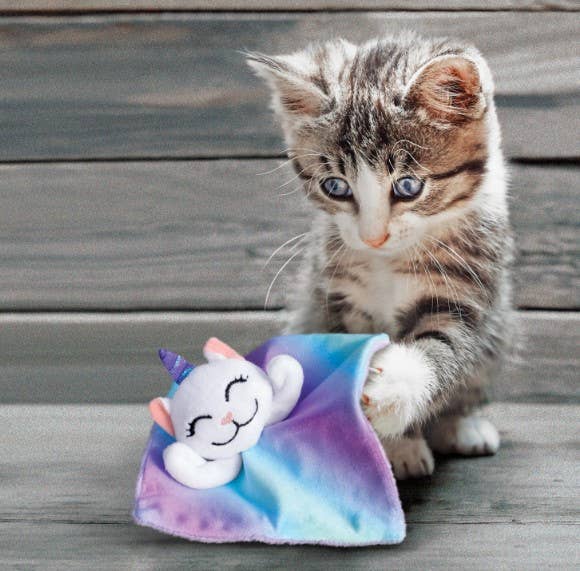 KONG® Crackles Caticorn Cat Toy Pet Palette Distribution