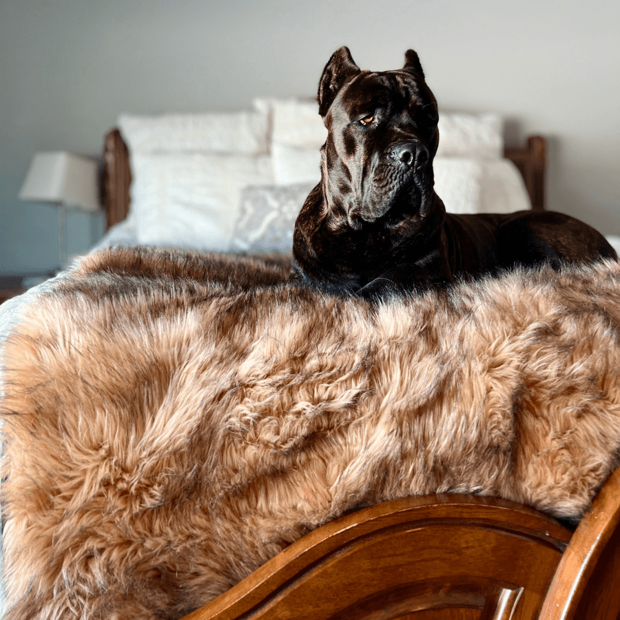 PupProtector™ Waterproof Throw Blanket - Sable Tan Dog Blanket Paw