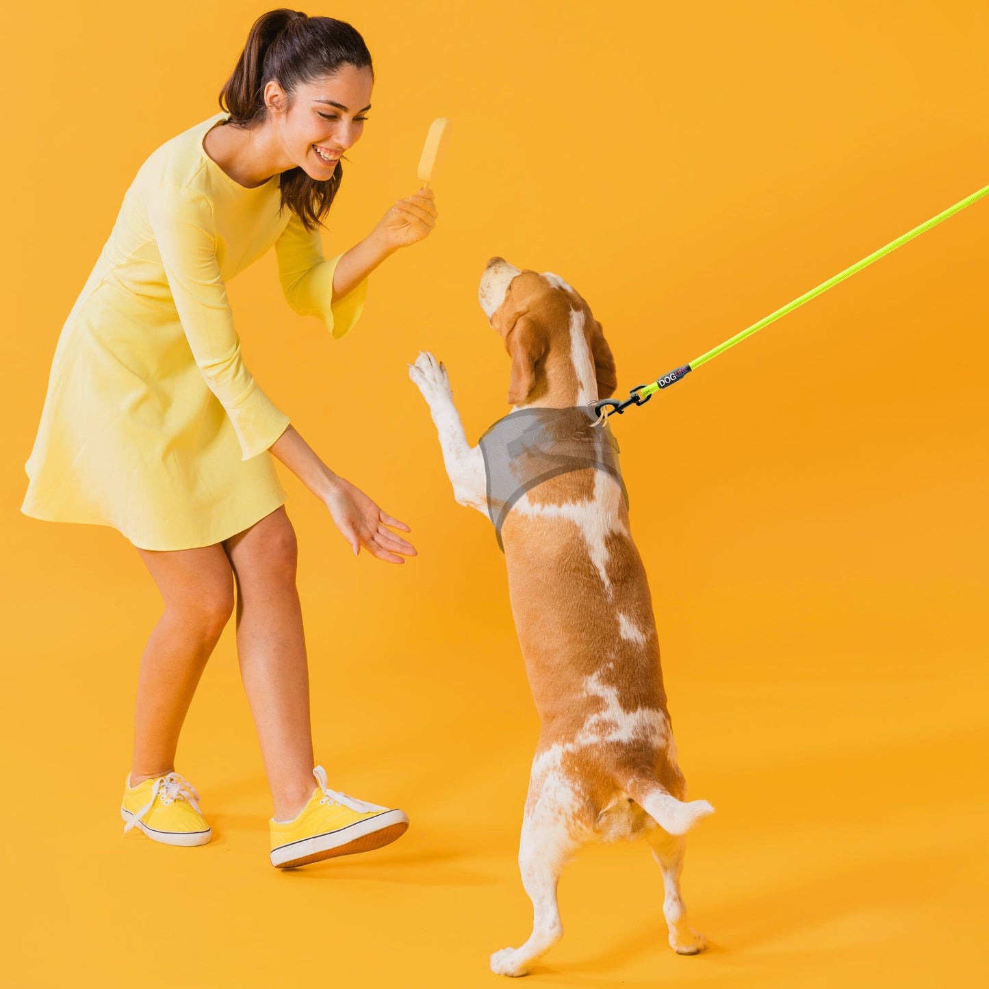 Nylon Round Dog Lead Dog Leashes Dogline