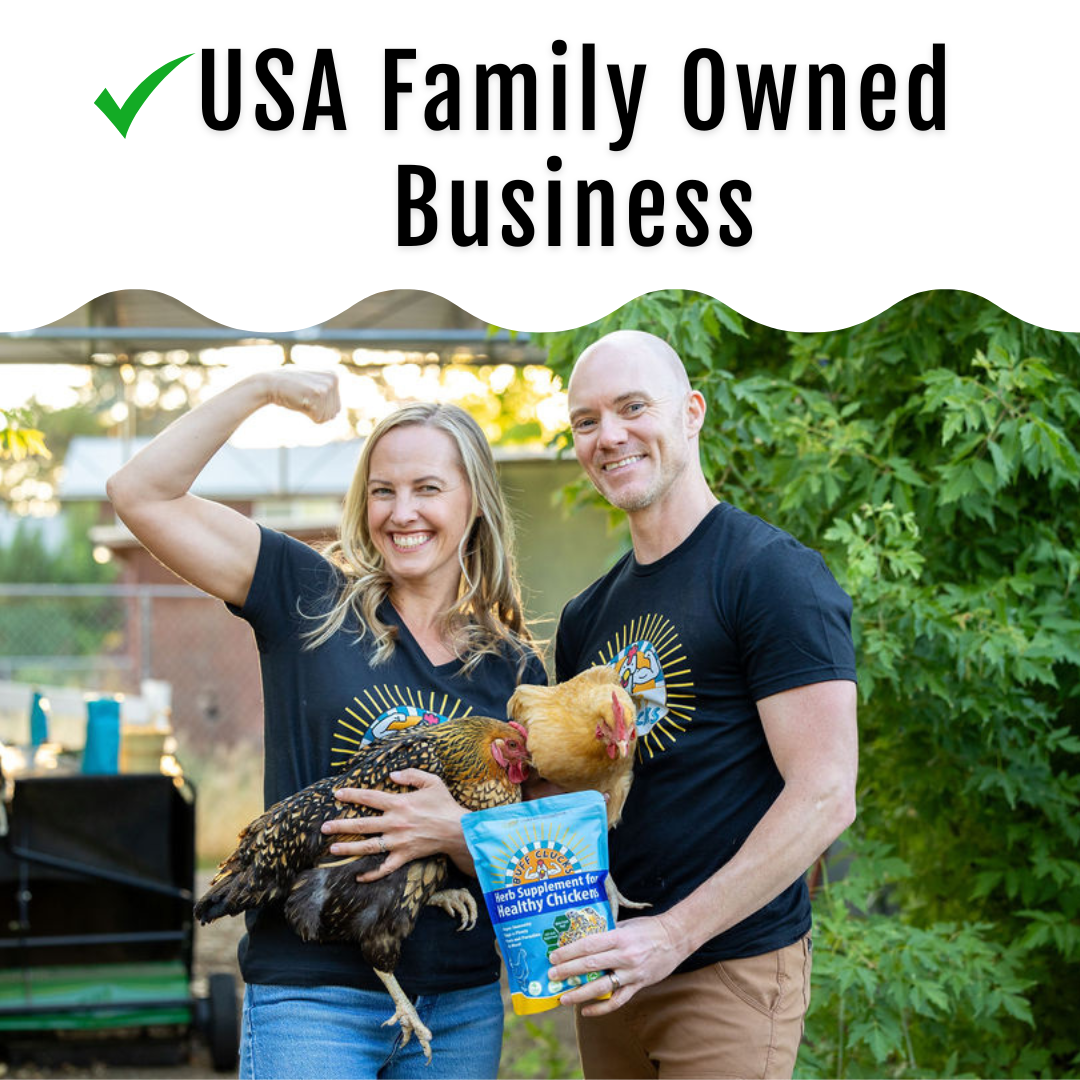 GrubFuel - Black Soldier Fly Larvae for chickens Buff Clucks
