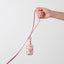 Burgundy Strawberry Waste Bag Holder Pet Waste Bag Dispenser SUNNY TAILS