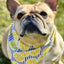 Lemon Dog Bandana Dog Bandana Happy Tails Outfitters