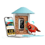 Birdfy Feeder - AI-Powered Smart Bird Feeder with Camera Standard Kit AI Lifetime Free Birdfy Feeder Birdfy