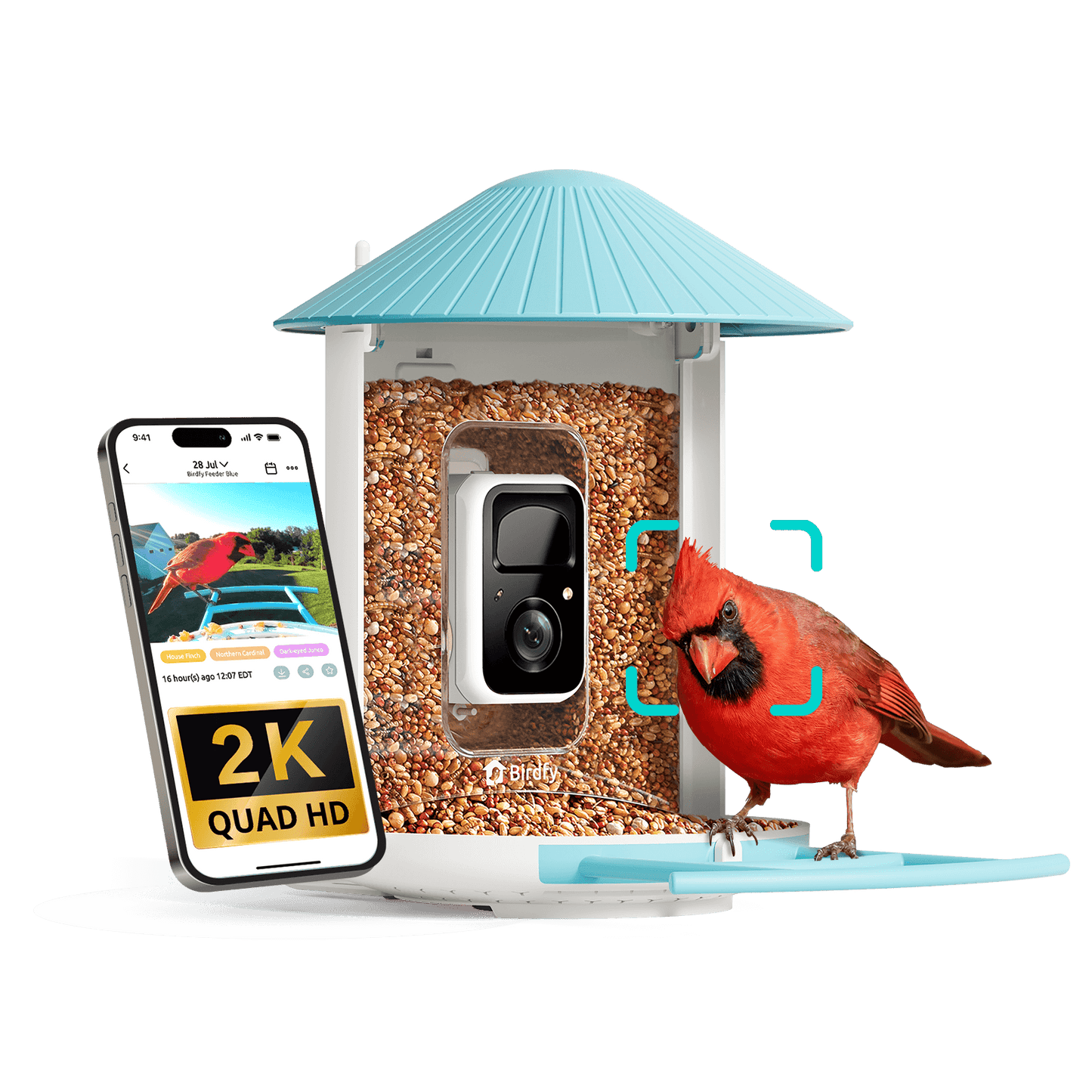 Birdfy Feeder - AI-Powered Smart Bird Feeder with Camera Standard Kit AI Lifetime Free Birdfy Feeder Birdfy