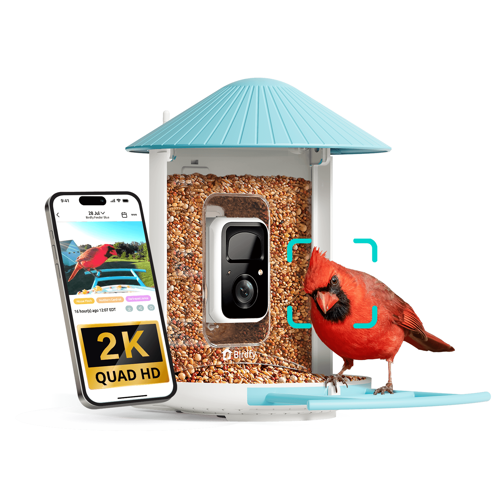 Birdfy Feeder - AI-Powered Smart Bird Feeder with Camera Standard Kit AI Lifetime Free Birdfy Feeder Birdfy