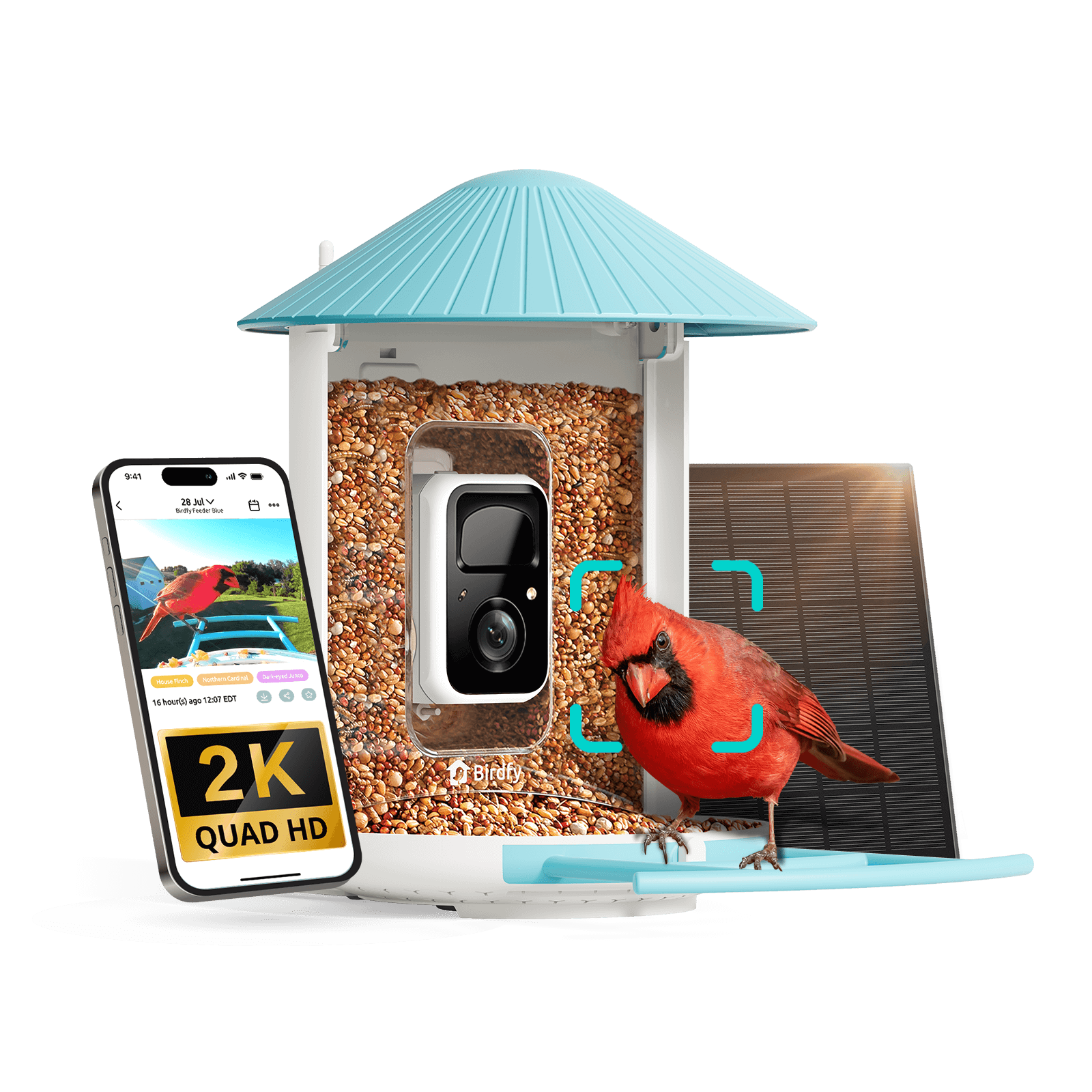 Birdfy Feeder with Solar Panel - Solar-Powered Smart Bird Feeder with Camera AI Lifetime Free Bundle Birdfy