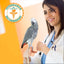 Parrot Food Sample Pack Parrot Food Bird Street Bistro