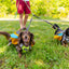 Teton Dark Gray Elastic Dog Leash Coupler DOG LEASH COUPLER Alpha Pak