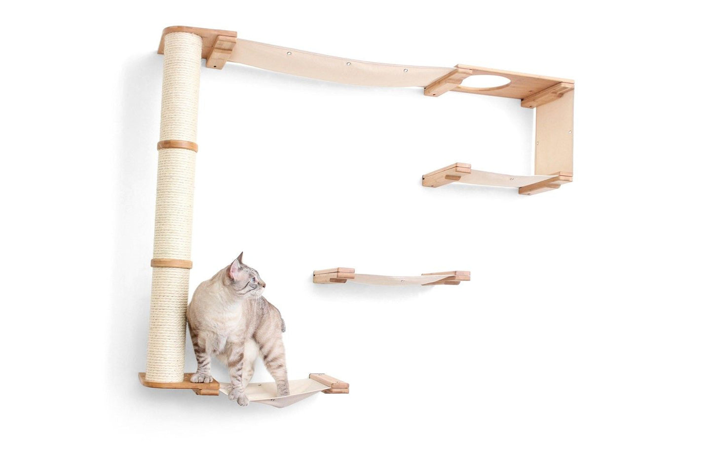 The Climb Condo - Cat Wall Climbing System Cat Condo Catastrophic Creations