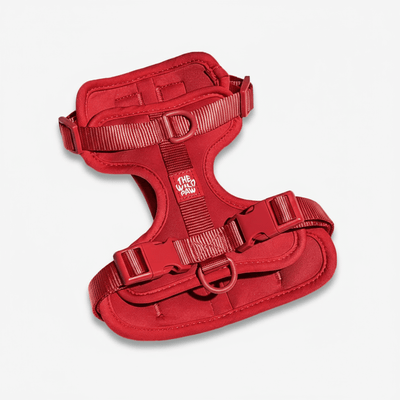 AdventurePro Harness Harness The Wild Paw