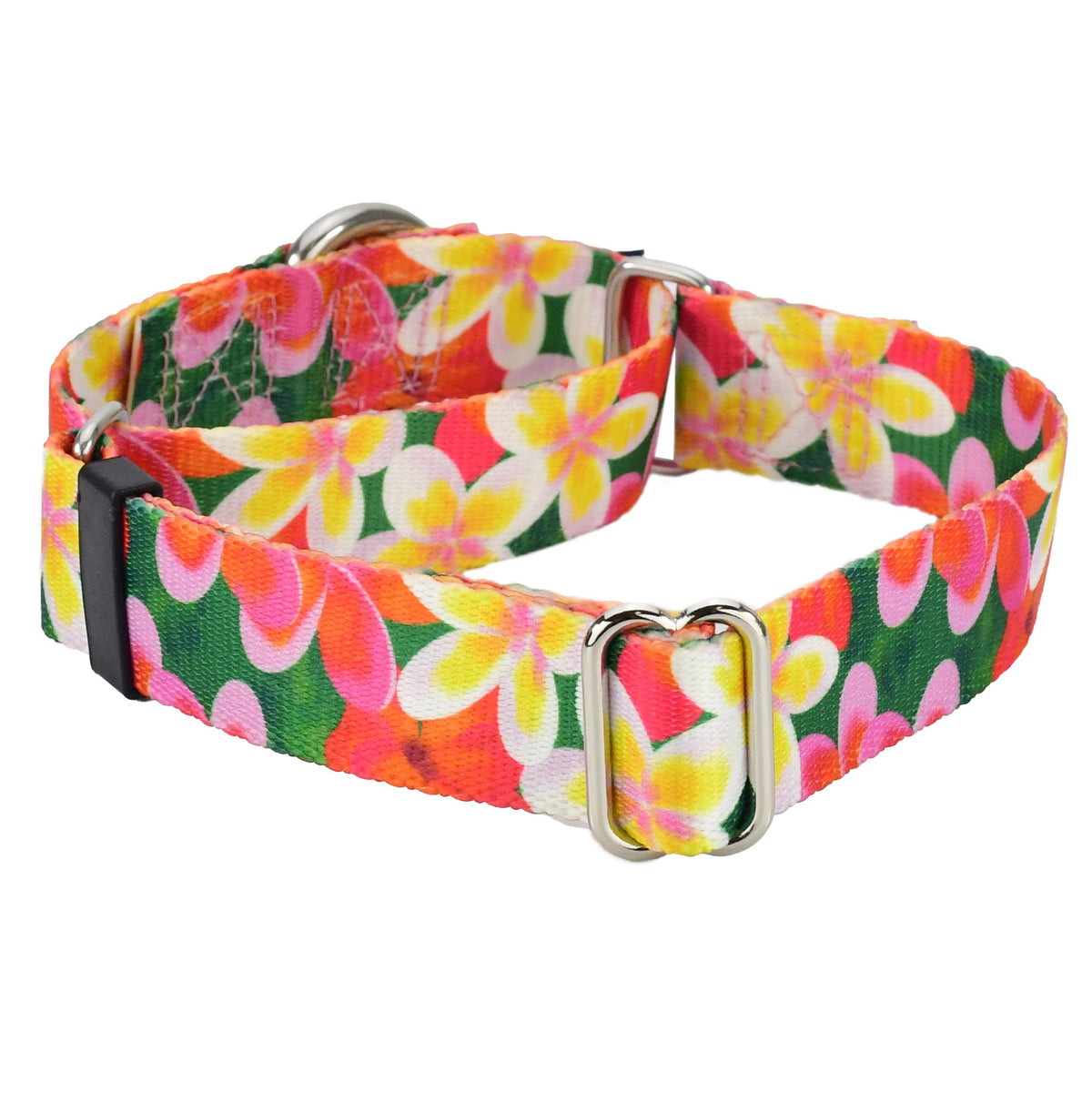 Aloha Martingale Dog Collar – EarthStyle 2 Hounds Design