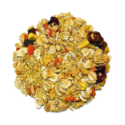 AppleBerry- Feast on the Fly Parrot Food Bird Street Bistro